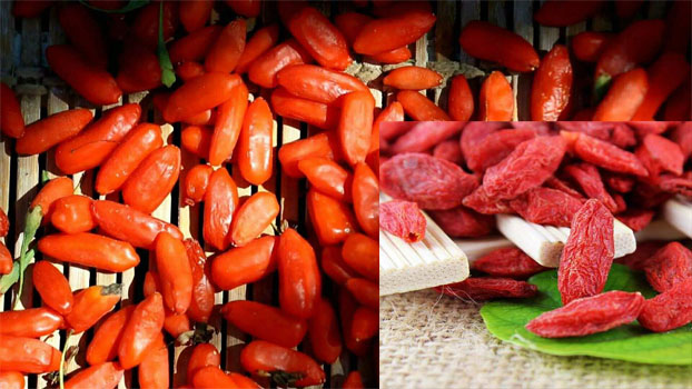 1668675252447559.jpg 1.jpg